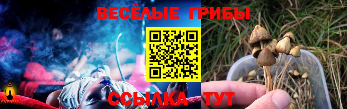 Галлюциногенные грибы Cubensis Кудымкар